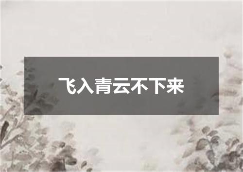 飞入青云不下来