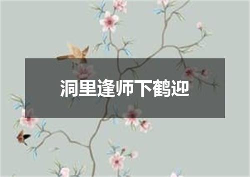 洞里逢师下鹤迎