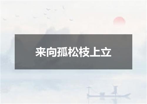 来向孤松枝上立