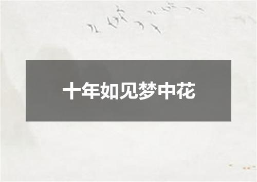 十年如见梦中花