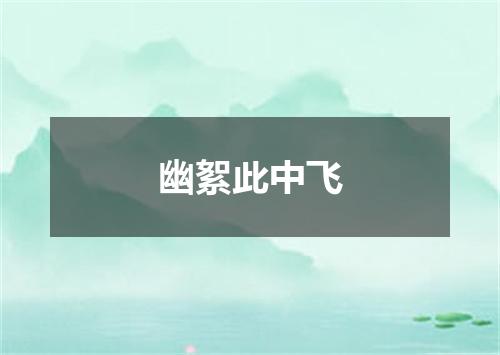 幽絮此中飞