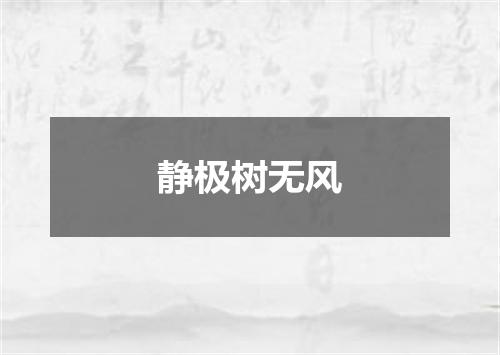 静极树无风