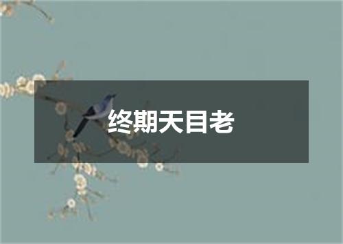 终期天目老