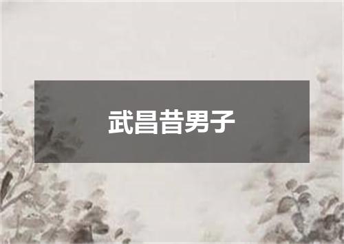 武昌昔男子