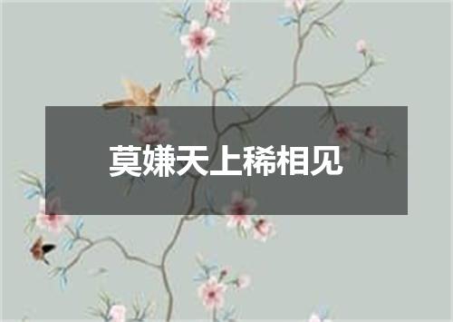 莫嫌天上稀相见