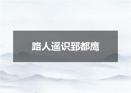 路人遥识郅都鹰
