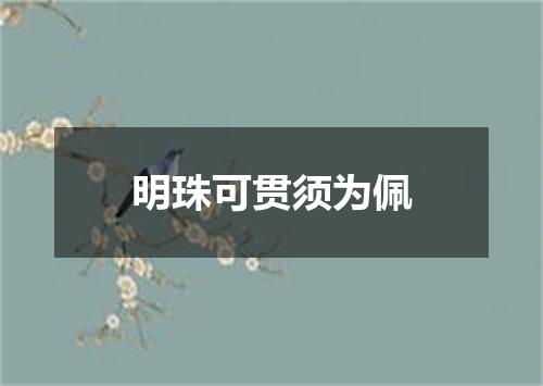 明珠可贯须为佩