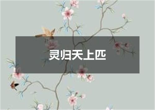 灵归天上匹