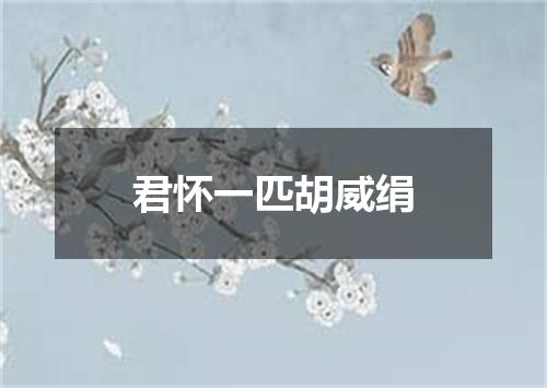 君怀一匹胡威绢