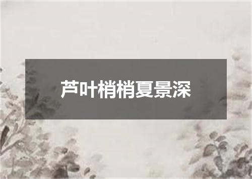 芦叶梢梢夏景深
