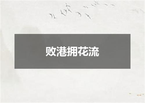 败港拥花流
