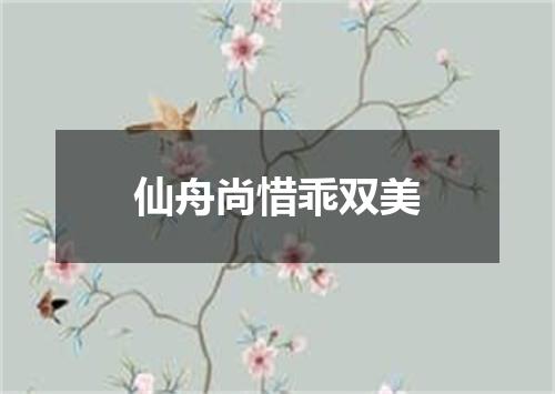 仙舟尚惜乖双美