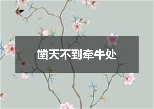 凿天不到牵牛处