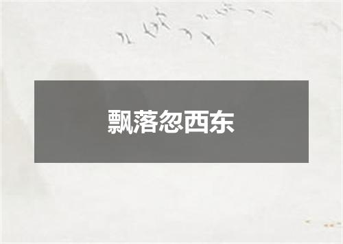 飘落忽西东