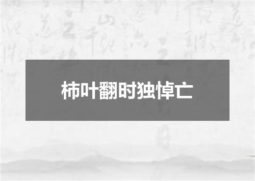 柿叶翻时独悼亡