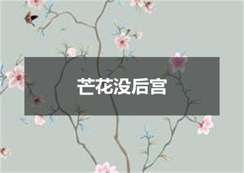 芒花没后宫