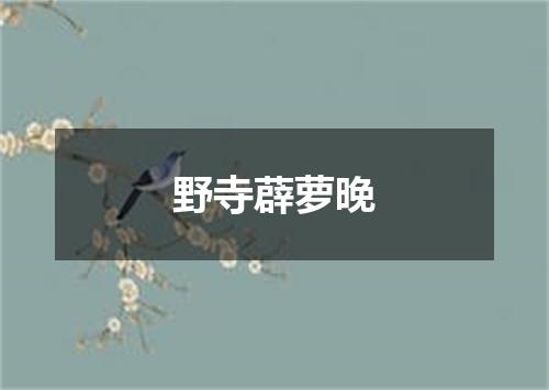 野寺薜萝晚