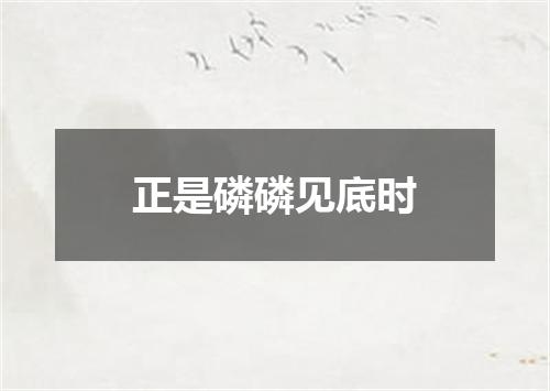 正是磷磷见底时