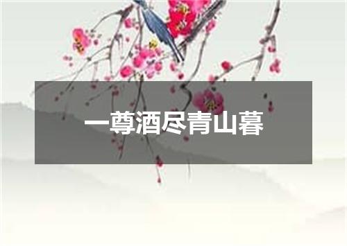 一尊酒尽青山暮