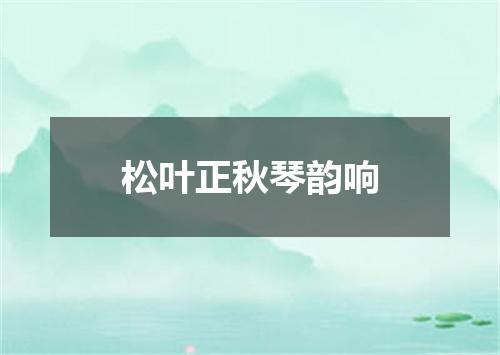 松叶正秋琴韵响