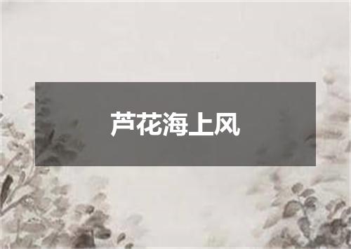 芦花海上风