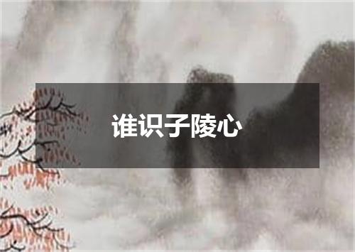 谁识子陵心