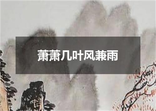 萧萧几叶风兼雨