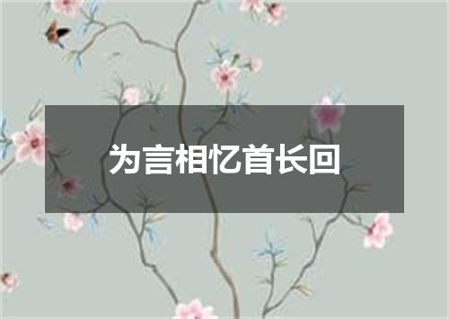 为言相忆首长回