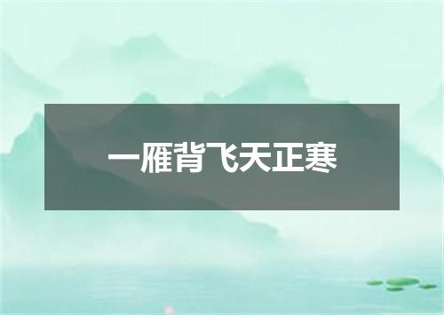 一雁背飞天正寒