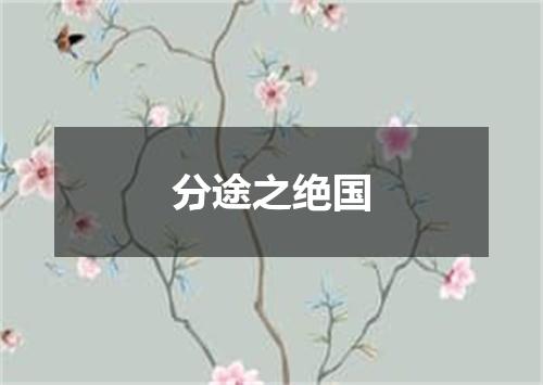 分途之绝国