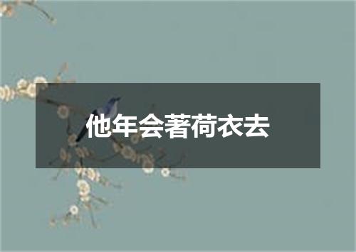他年会著荷衣去