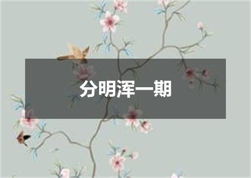 分明浑一期