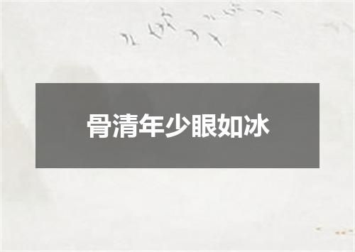 骨清年少眼如冰