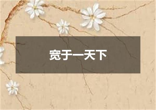 宽于一天下
