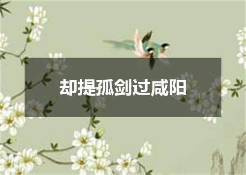 却提孤剑过咸阳