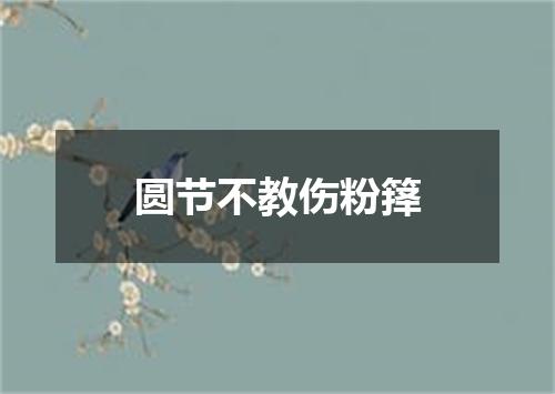 圆节不教伤粉箨
