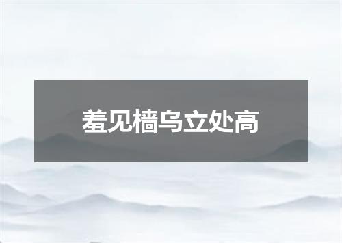 羞见樯乌立处高
