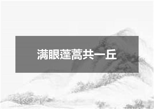 满眼蓬蒿共一丘