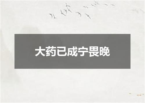 大药已成宁畏晚