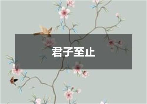 君子至止