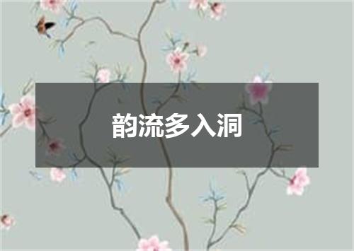 韵流多入洞