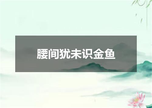 腰间犹未识金鱼