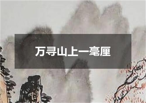 万寻山上一毫厘