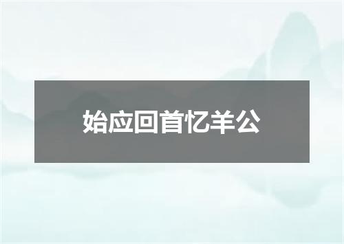 始应回首忆羊公