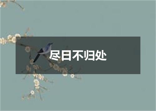 尽日不归处