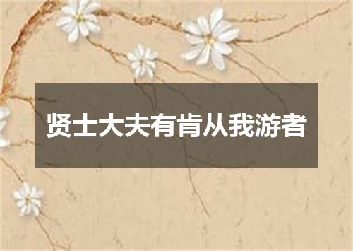 贤士大夫有肯从我游者