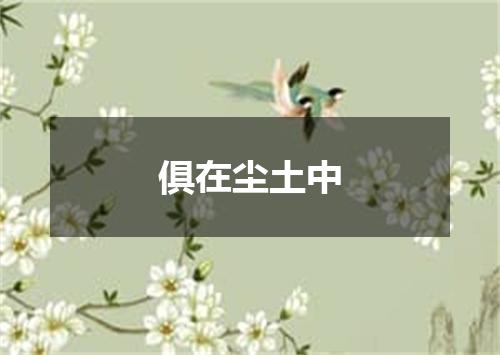 俱在尘土中