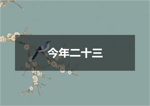 今年二十三