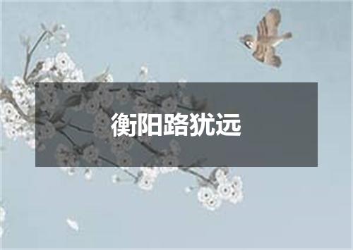 衡阳路犹远