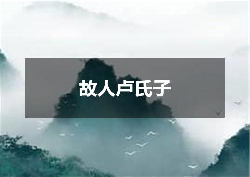 故人卢氏子
